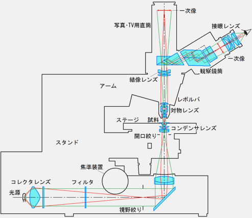 ❤色収差を低減するプロ用レンズ搭載❣最大1000倍率の本格派♪❤単眼生物顕微鏡